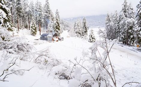 A Glimpse Into the First Winter on Our Off-Grid Homestead (with Video) Image